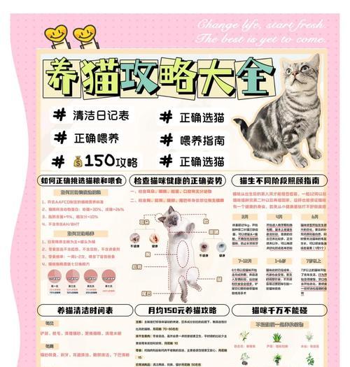 灵猫传（探索升级方法与注意事项）