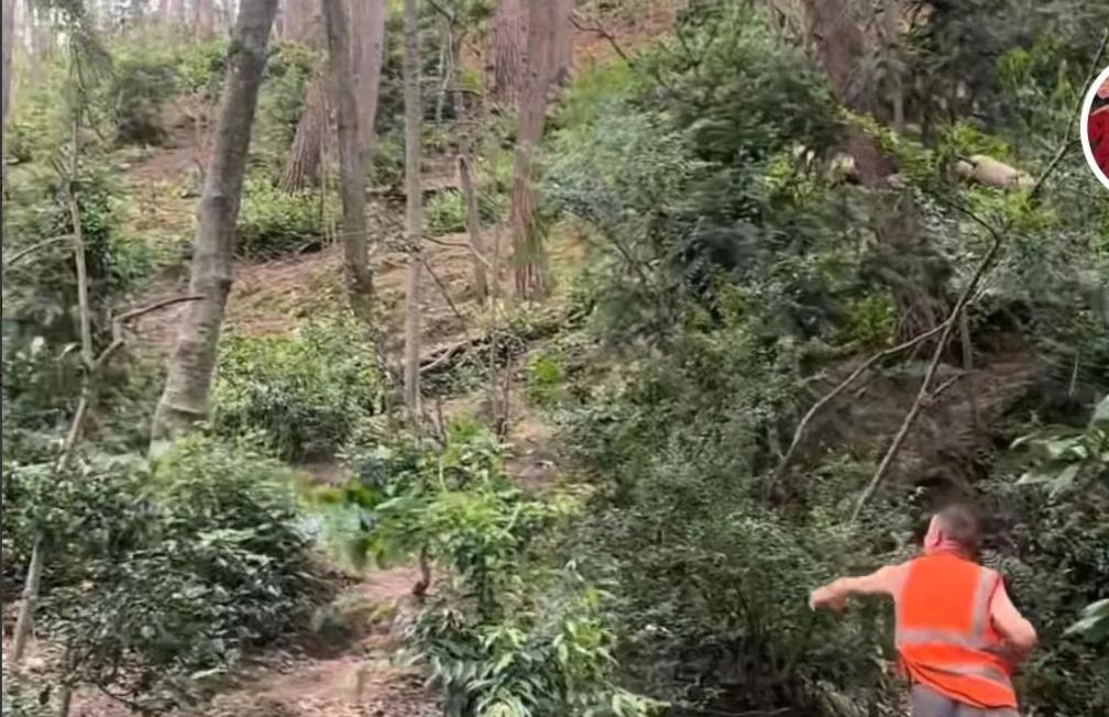 景区环卫工遭羞辱后续，对方手指老人践踏尊严，前科被扒心虚退网