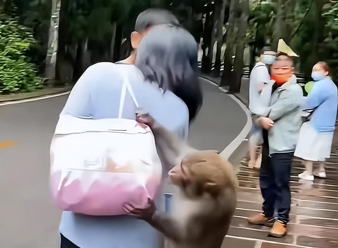 景区环卫工遭羞辱后续，对方手指老人践踏尊严，前科被扒心虚退网