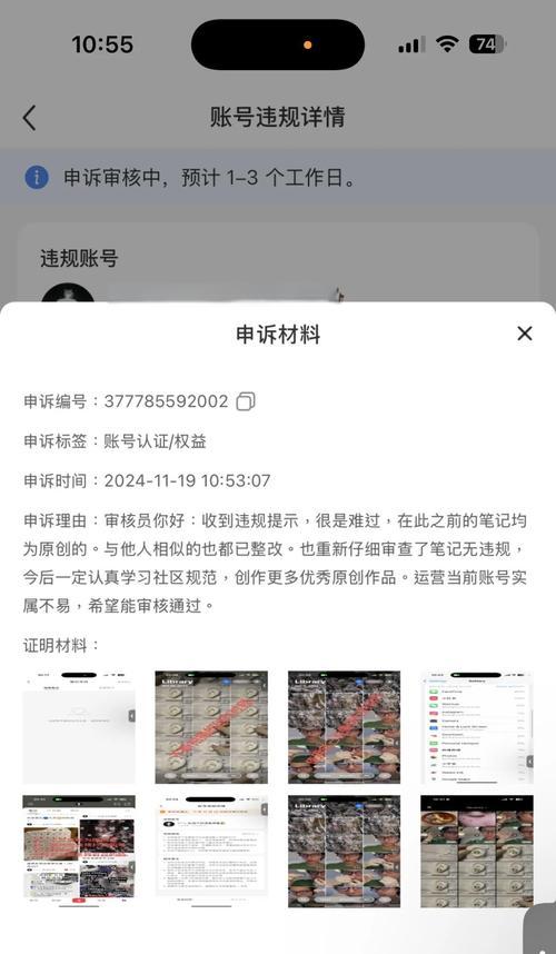 账号被踢三天如何申诉？有哪些有效解决方法？