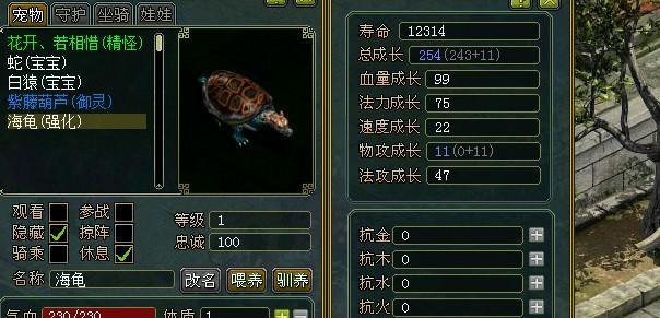 乌龟强化爆伤的正确玩法是什么？问道中如何强化乌龟？
