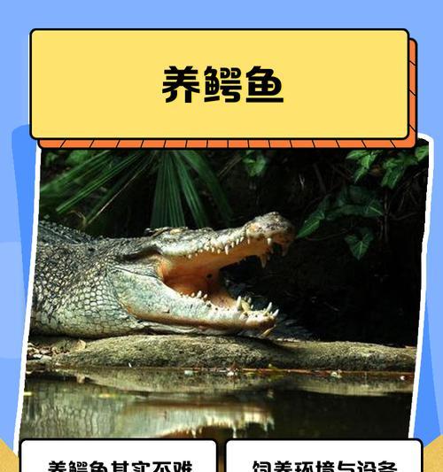 《荒野鳄鱼兽袭生存指南》（以挨饿为敌）