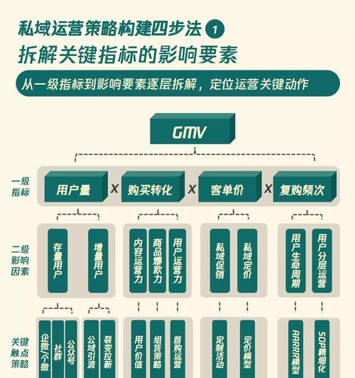 体超队伍构建策略是什么？如何发挥最大效能？