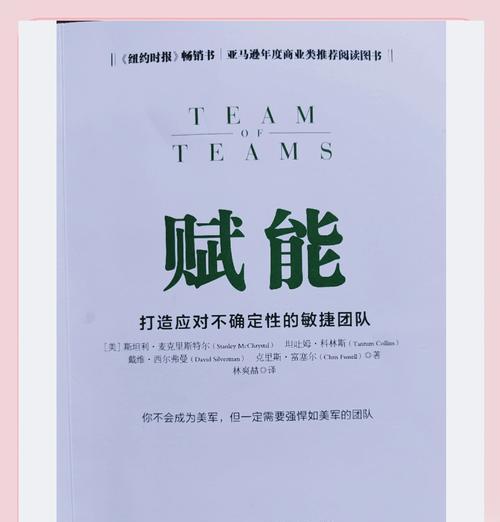 体超队伍构建策略是什么？如何发挥最大效能？
