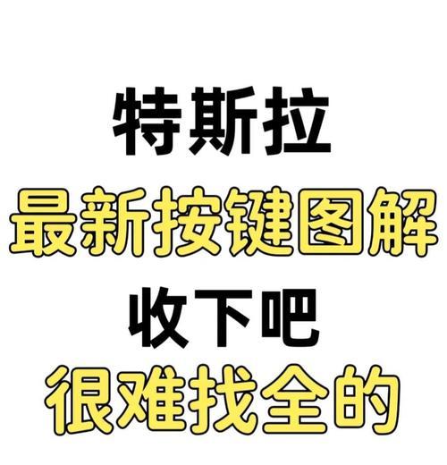 特斯拉彩虹岛设置的具体步骤是什么？
